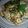 nishikiJPC's cooksnap of when they made 大葉風味れんこんのマヨネーズ焼き.