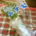 めみたん☆'s cooksnap of when they made 私的水菜の☆長持ち保存.