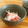 おはなすき's cooksnap of when they made 大根と紅ショウガのさっぱりサラダ.