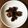 あやめﾁｬﾝ's cooksnap of when they made 砂肝の照り焼き.