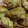 たまぴよ☆'s cooksnap of when they made タレ後付け☆鶏唐揚げ.