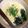 ののまま＠ずぼら's cooksnap of when they made 豆腐で濃厚♡クリーミーパスタラーメン！？.