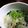 由華子S's cooksnap of when they made アサリと春雨のスープ煮.