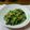 ゆうさんよりさん's cooksnap of when they made 小松菜とツナ缶deピリ辛炒め煮♪.