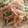 茶々丸☆姫のママ's cooksnap of when they made *いんげんともやしの炒め物*.