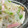 umemodoki's cooksnap of when they made 中華風　簡単♪春雨サラダ.