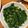 a0imama♡'s cooksnap of when they made ほうれんそうのナムル.