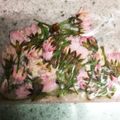 ごめっきー's cooksnap of when they made 桜の花の塩漬け.