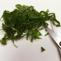 まっきー♪３７'s cooksnap of when they made ものぐささんな　大葉の千切り.