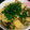 ねずみ花火eat's cooksnap of when they made ごぼう&厚揚げの揚げだし豆腐ふう〜.