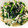 EMSSJ５'s cooksnap of when they made ニラとえのきの和え物.