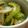 ぷみこむ's cooksnap of when they made ゴーヤと玉ねぎのポン酢和え.