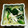 みみりん♪♪'s cooksnap of when they made ほうれん草ともやしの辛くない辛子和え.