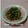こたらパッド's cooksnap of when they made 青じそ胡麻納豆.