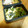 そらてんママ's cooksnap of when they made ワカメと薄焼き卵の辛子マヨネーズ和え.