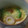 ケンコウママ's cooksnap of when they made 【レンジで簡単】茶碗蒸し.