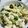 ♡rotta♡'s cooksnap of when they made きのこと豆腐で✿ヘルシー卵どんぶり.