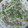 ちろえく's cooksnap of when they made 砂肝と水菜の塩レモン炒め.