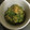 かお1200's cooksnap of when they made ふきのとう×みそ.