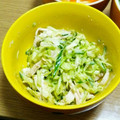 ﾏﾃｨｺ's cooksnap of when they made キャベツと蒸し鶏の柚子胡椒マヨサラダ☆.