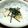 tama2012's cooksnap of when they made 納豆＋豆腐＝なんちゃってとろろご飯☆.