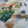 river36's cooksnap of when they made 鮭ときのこのクリーム煮.