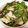 しずのんママ's cooksnap of when they made さっぱり三つ葉とささみの梅肉和え.