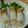 クックGDWQJS☆'s cooksnap of when they made おつまみ☆ピリ旨！かいわれのチーズちくわ.