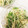 マダムキュリー's cooksnap of when they made もやしと水菜の付け合せ☆.