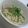 いとお菓子's cooksnap of when they made 鶏牛蒡飯.