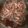 にゃんこちゃ's cooksnap of when they made 土筆の飴煮風佃煮.