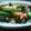 ぽんぱどうる's cooksnap of when they made 小松菜の卵炒め〜鮭フレーク入り〜.
