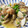 こあ♪'s cooksnap of when they made あさりの酒蒸し.