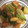 ntmm193's cooksnap of when they made ☆塩鮭と野菜のオイマヨにんにく炒め☆.