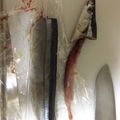 saaari1212's cooksnap of when they made *＊魚の綺麗な内臓の取り方＊*.