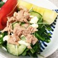 地図。's cooksnap of when they made トマトとかいわれのツナサラダ.