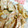 あっきぃにゃん's cooksnap of when they made サクサク。豚切り落としの唐揚げ。.