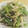 yuki❃'s cooksnap of when they made ほうれん草ともやしのわさびごま和え.