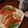 四つ葉のララピー's cooksnap of when they made サーモンのあっさり夏サラダ.