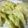 （闇−ω−）'s cooksnap of when they made 簡単、安い、美味しい！たまごちくわ春巻♪.
