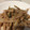 はに333's cooksnap of when they made ウドのごまみそマヨネーズ和え。.