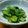 みつこ姉's cooksnap of when they made うどの葉のナムル風.