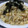 ちばたま's cooksnap of when they made つゆだくパスタ＜大根おろしとネギの香り＞.