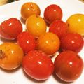 モケ缶's cooksnap of when they made 簡単美味☆ミニトマトのマリネ☆.