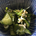 ☆ミニラ☆'s cooksnap of when they made わかめときゅうりとしらすの酢の物.