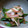 shiratori's cooksnap of when they made オクラの柚子胡椒和え.