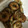 クック69LGPY☆'s cooksnap of when they made 簡単！美味しいお弁当おかずマヨ磯辺ちくわ.