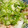 kucina's cooksnap of when they made アジの中華風サラダ.