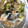 どんころ's cooksnap of when they made スパイシー鶏唐揚げの夏野菜南蛮漬け.