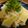 Chee_2009's cooksnap of when they made タケノコの炊き込みご飯.